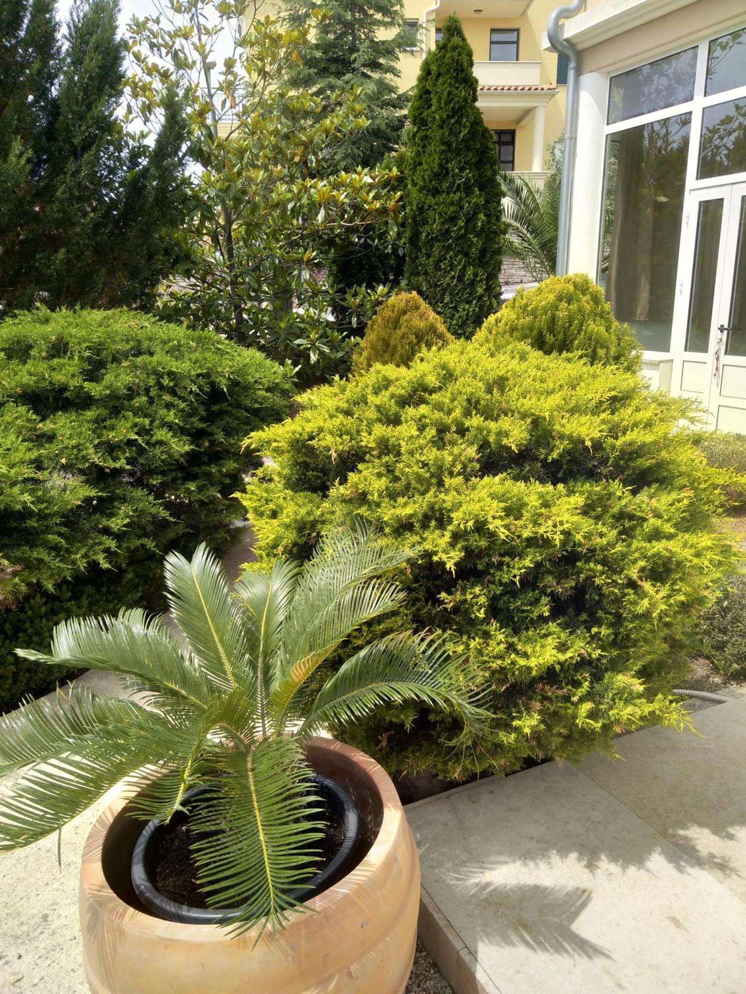 Gregovica Apartment *